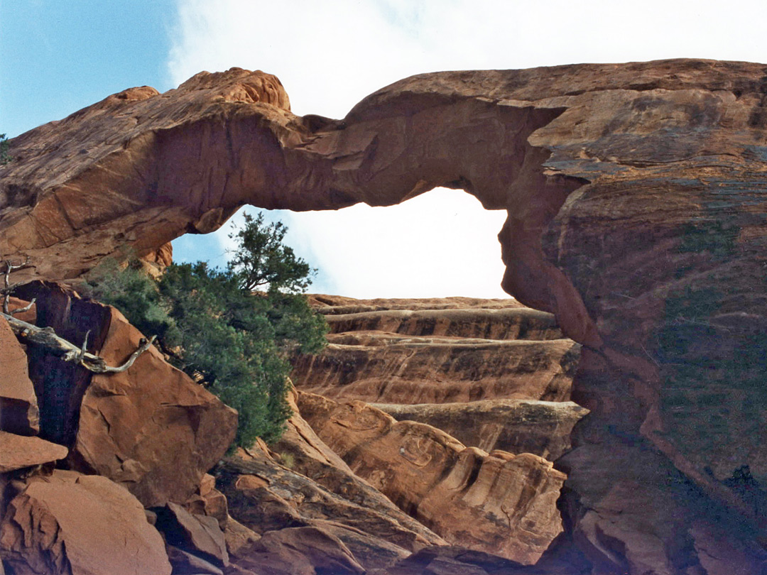 Wall Arch