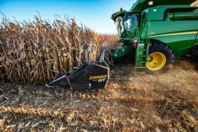 Corn being harvested