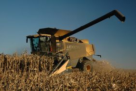 ClaasCombineHarvestingCorn-WideShot