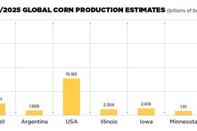 2024/2025 Global Corn production estimates