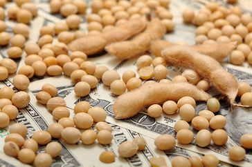 soybeans-money-close