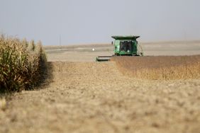 A farmer harvests soybeans in western Iowa in early October 2023.