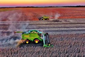 NE Illinois soybean harvest