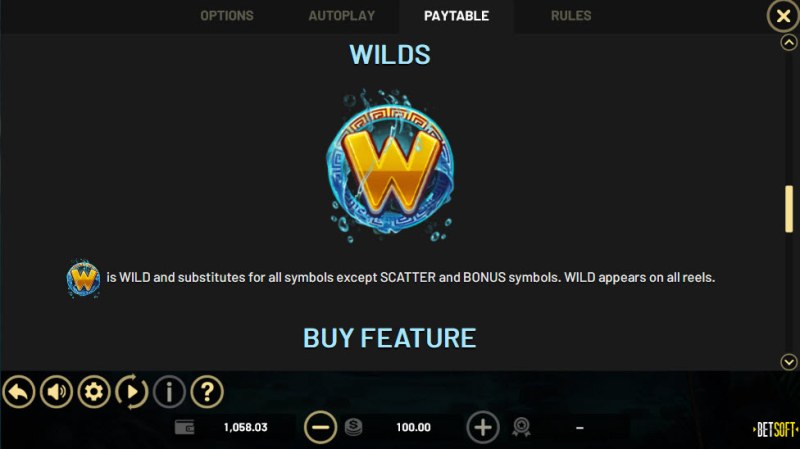 Wild Symbol