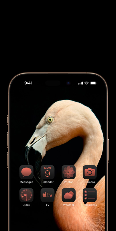 Ecranul unui iPhone 16 cu o fotografie din profil, dinamică, a unui flamingo roz și widget-uri cu nuanțe asortate de roz.