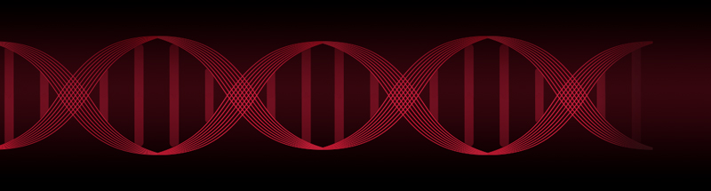 DNA strand