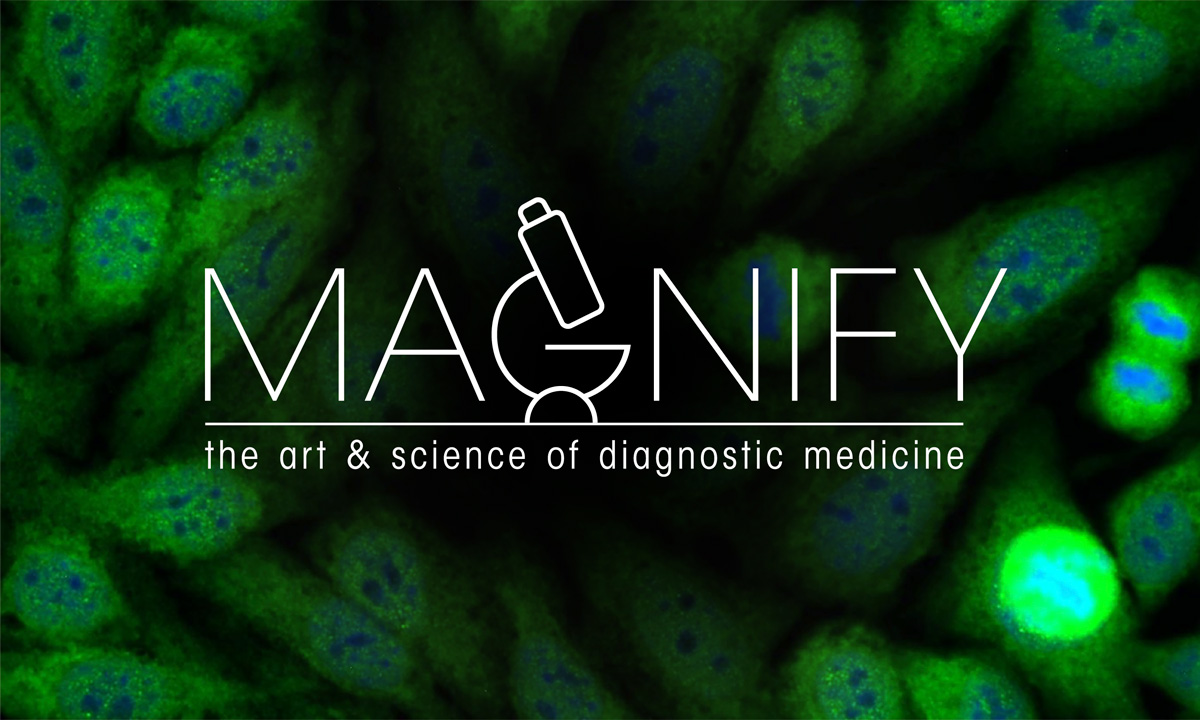 Magnify logo