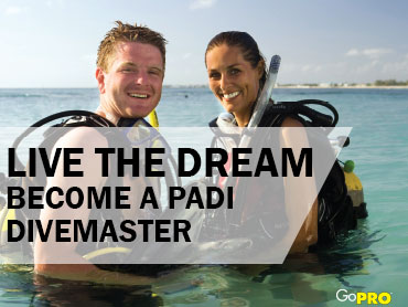 Become a PADI Divemaster