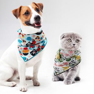 Pet Bandanas