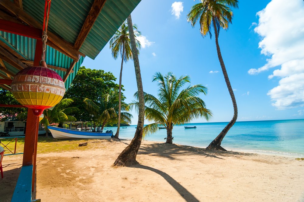 bent palms next to a beach cafe in Colombia