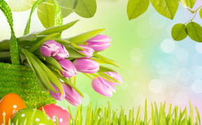 Spring Easter Egg High Definition Wallpaper 113583