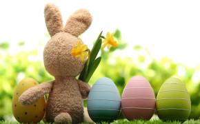 Spring Easter Egg Wallpaper HD 113584