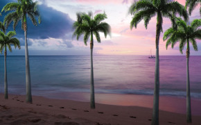 Palm Tree Best Wallpaper 30806