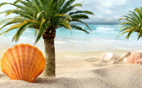 Palm Tree HD Wallpaper 30809