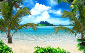 Palm Tree HQ Desktop Wallpaper 30812