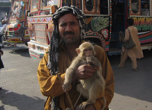 Karachi monkey man