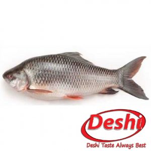 Rohu Fish