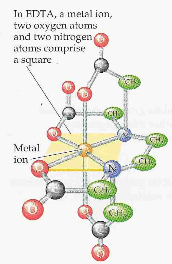 EDTA around Metal Ion