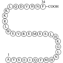 Parathyroid Hormone (1-34), bovine