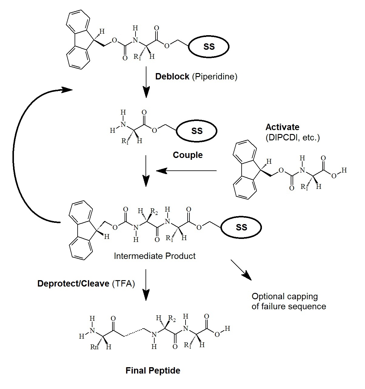 Fmoc Solid Phase Peptide Synthesis, 52% OFF | www.elevate.in