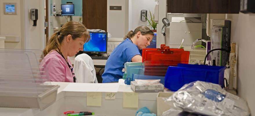 nurses working on charts