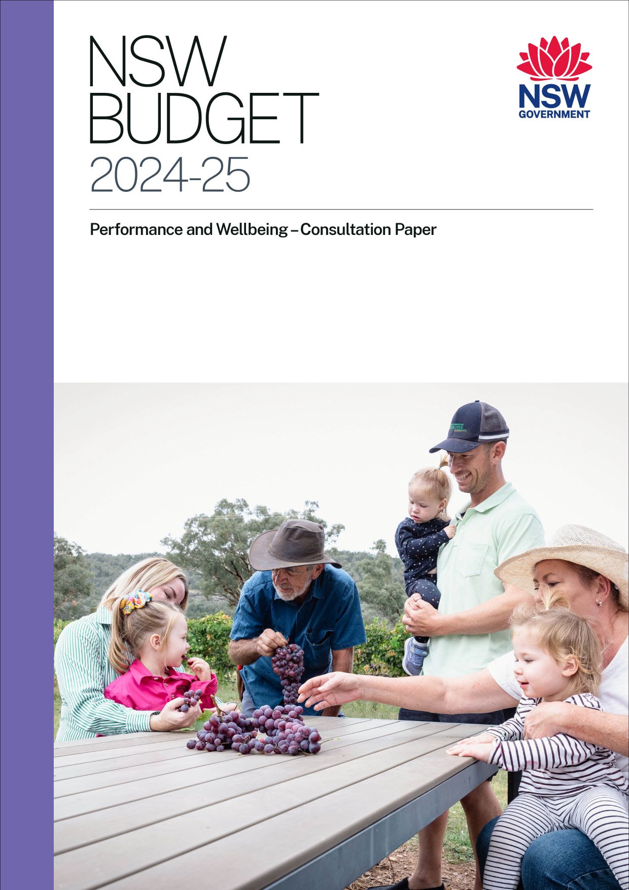 NSW Budget 2024-25 Performance and Wellbeing Consultation Paper