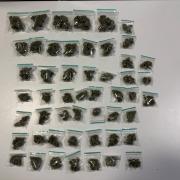 Cannabis bags which were found by police