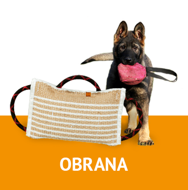 Obrana