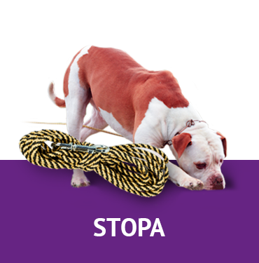 Stopa