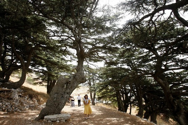 Foreign tourists walk in Al-Shouf Cedar Nature Reserve in the Shouf mount