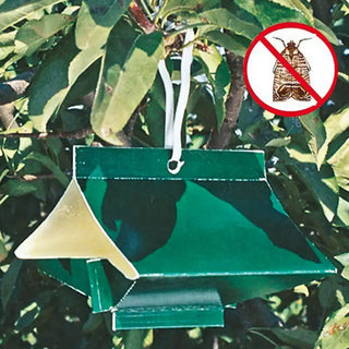 Apple Tree Pest Lure & Trap