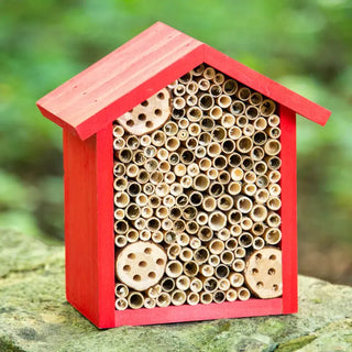 Bee Nesting House