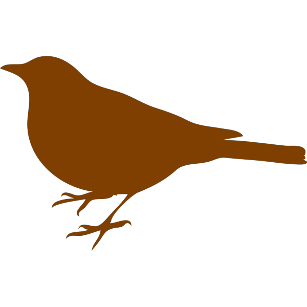 Brown Bird PNG images