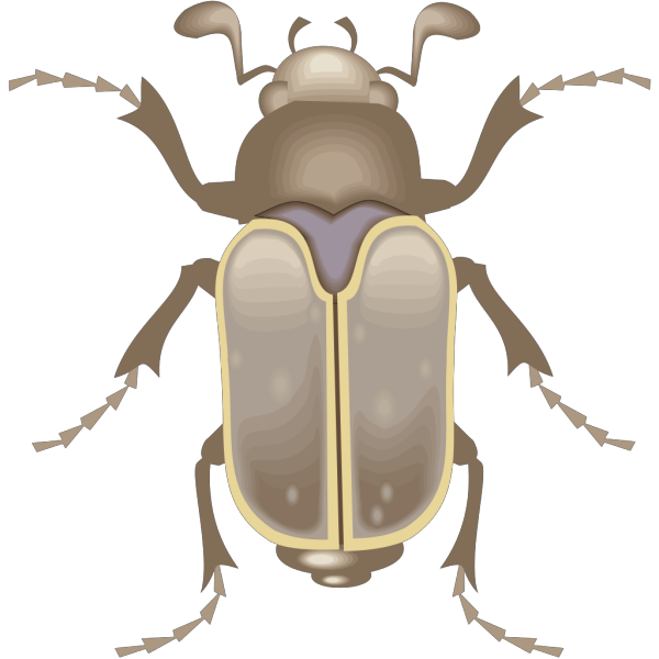 Beetle Art PNG images