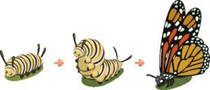 Caterpillar PNG Image PNG Clip art