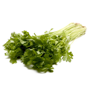 Celery PNG Transparent Image PNG Clip art