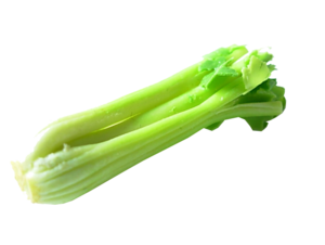 Celery PNG Transparent PNG Clip art