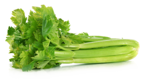 Celery PNG File PNG Clip art