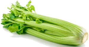 Celery PNG Photos PNG Clip art