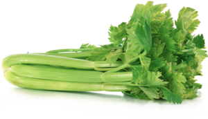 Celery Transparent PNG PNG Clip art