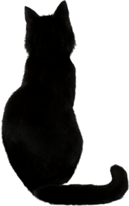 Black Cat PNG Photos PNG Clip art