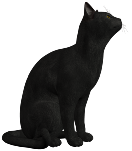 Black Cat PNG Photo PNG Clip art