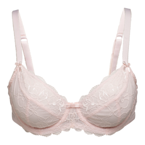 Bra PNG Background Image PNG Clip art