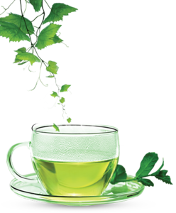 Green Tea PNG Clipart PNG Clip art