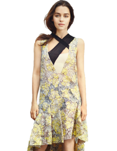 Emilia Clarke PNG Picture PNG Clip art