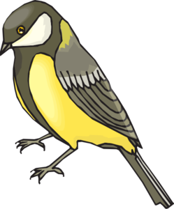 Finch PNG File PNG Clip art