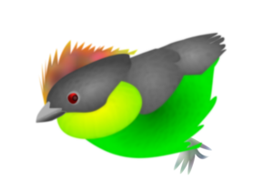 Finch PNG Pic PNG Clip art