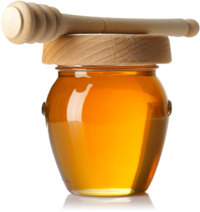 Honey Jar PNG PNG Clip art