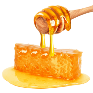 Honey PNG File PNG Clip art