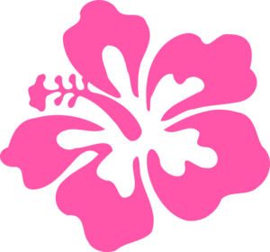 Hibiscus PNG Photos PNG Clip art